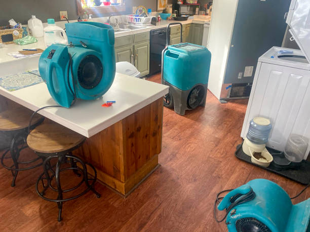 Best Flood damage cleanup  in Inkerman, PA