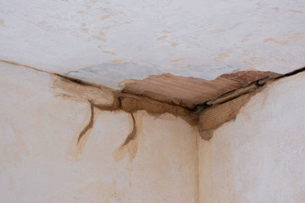 Best Commercial water damage restoration  in Inkerman, PA