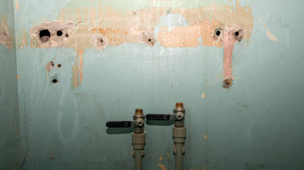Best Local water damage restoration  in Inkerman, PA